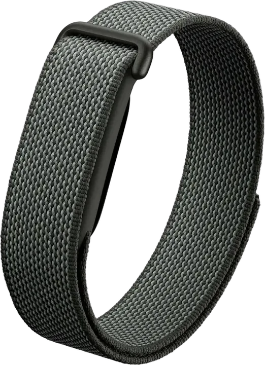 Google Fitbit Air